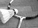 raquette badminton